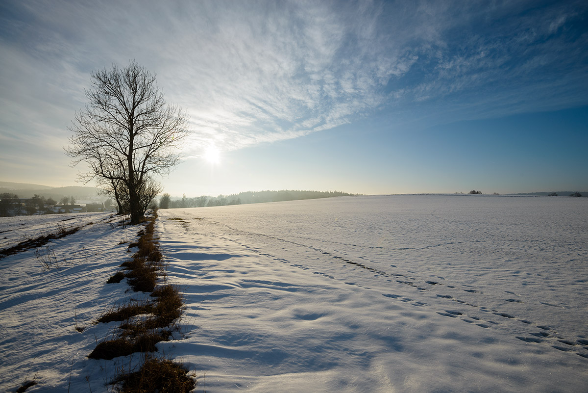 Winterliche Landschaftsfotografie aus der Gegend um Janstejn, Tschechien-image-4