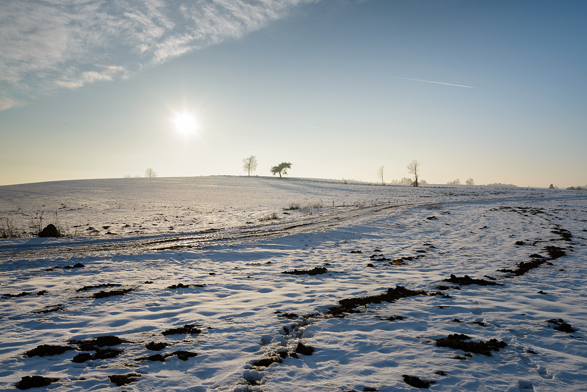 Winterliche Landschaftsfotografie aus der Gegend um Janstejn, Tschechien-image-6